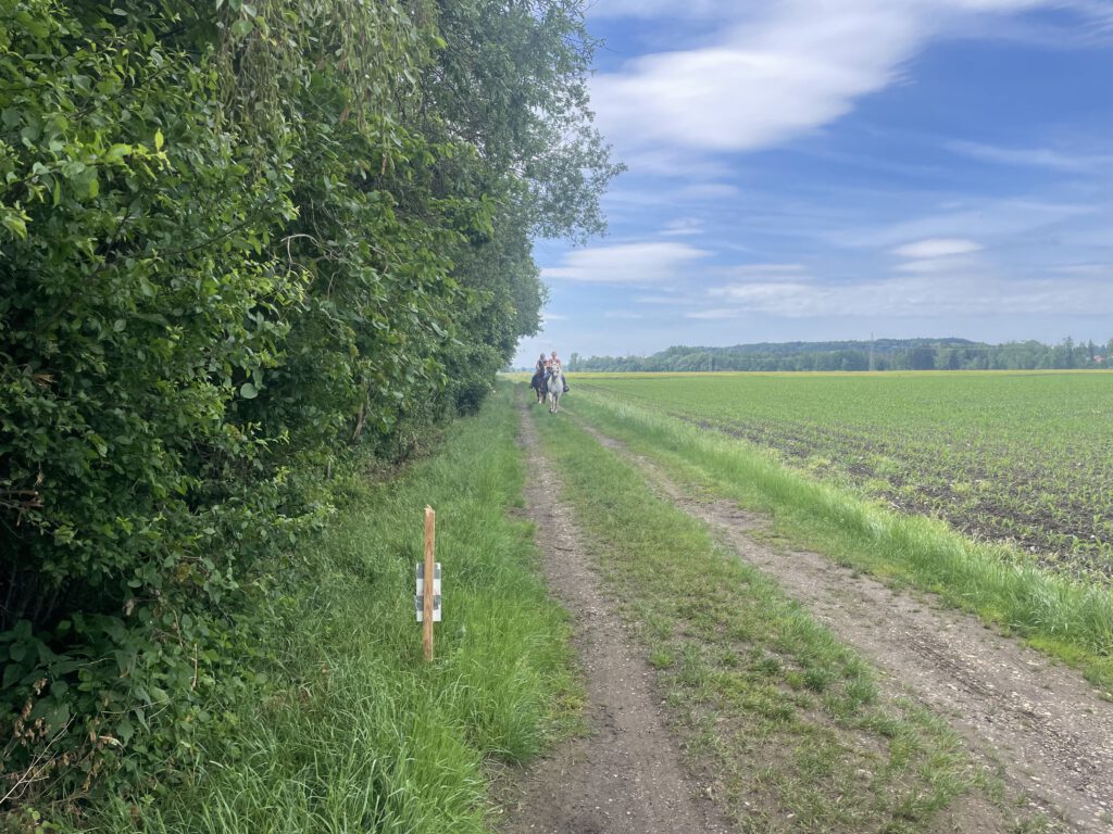 Wanderritt 2025/0